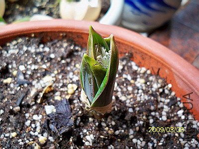 ��Ƭ 302(400).jpg