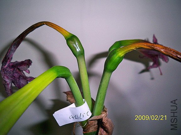 ��Ƭ 2496(576).jpg