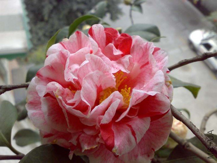 090227-5.jpg