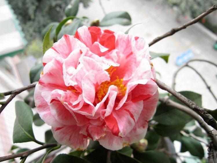 090227-1.jpg