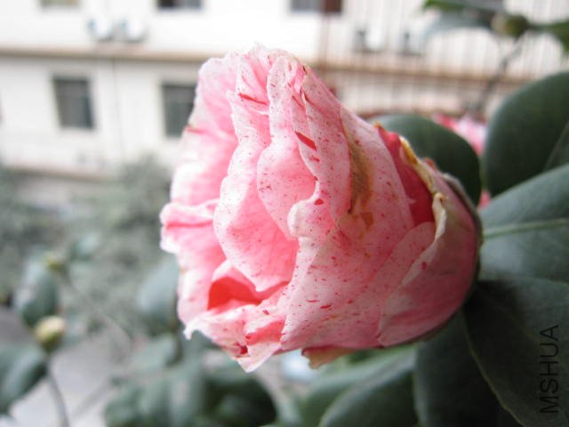 090227-2.JPG