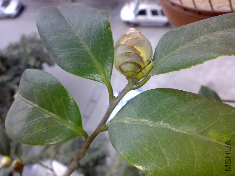 090227-4.jpg