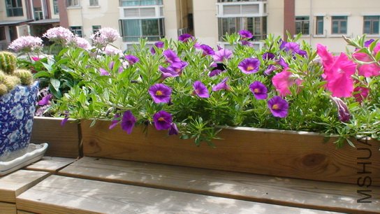 ����С�ᣬֻ��һ��ร�һ������50CM�Ĵ�����տ���