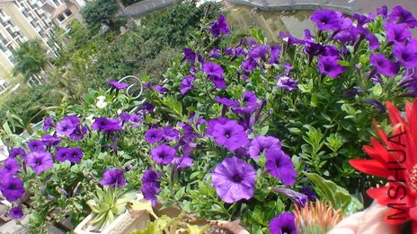 ��������Ҳ��һ�á���������ȥ��ĺã�ȥ��ķ�����࣬�����ܴ���ȥ��1�ף�ÿ���ܿ�400-500�仨��