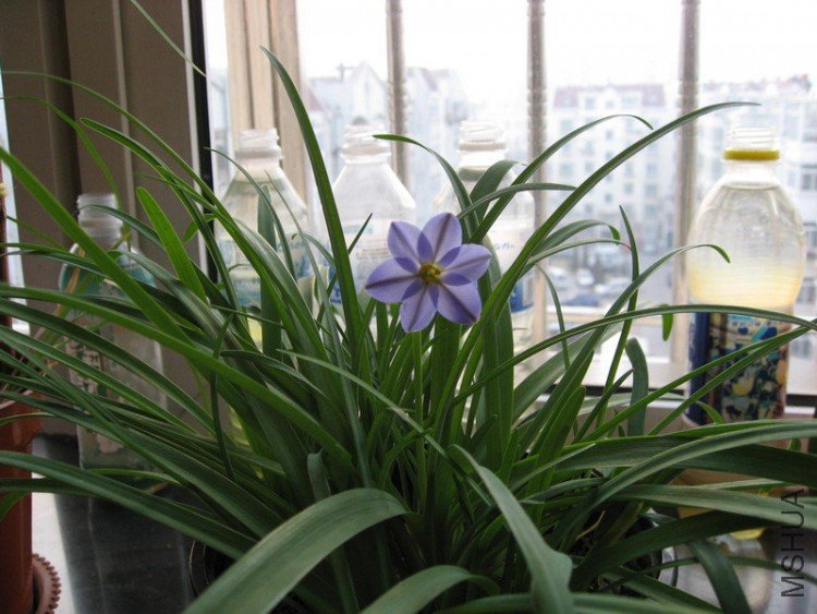 ���£�����20090303A.jpg