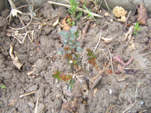 DSCF4998.JPG