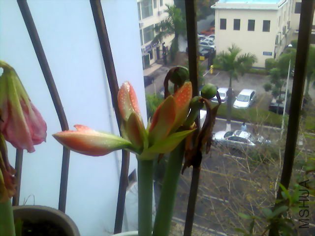 ����ͬ��.