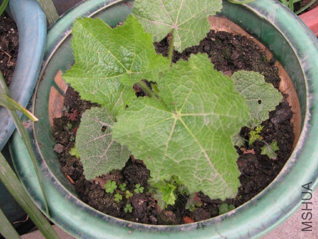 һ���������