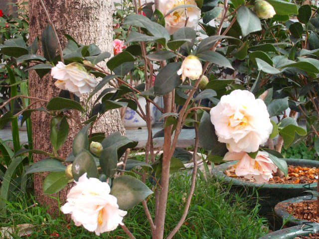 �������������ʣ����ǵ�ʱ��ǩд�ţ�����������ɫ�����ʮ��Ц�������������Һ���