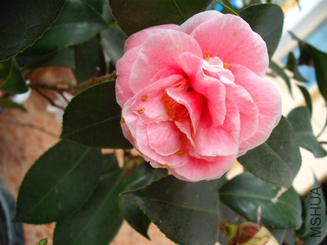 ������õ���һ��