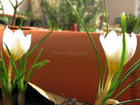 nEO_IMG_IMG_0168.jpg