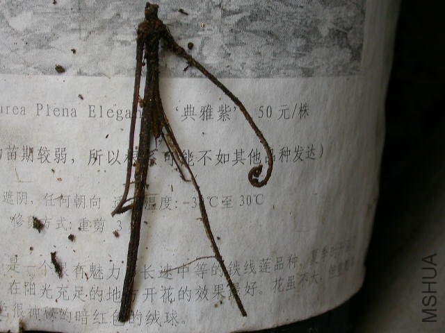 ������վ�������ƣ����õ�������