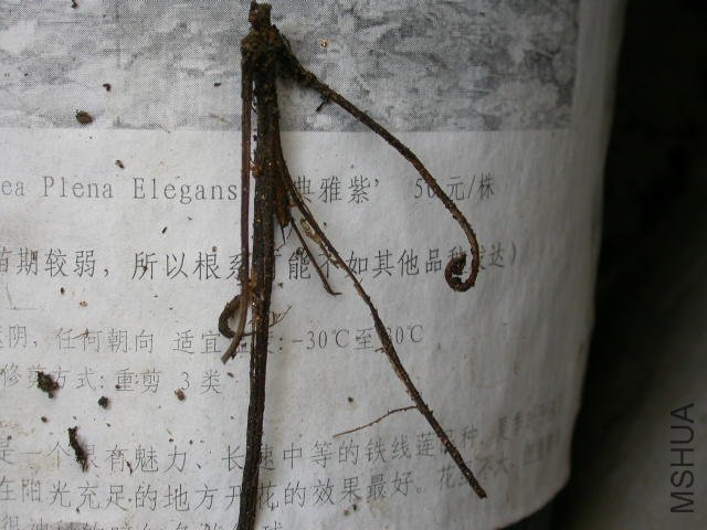 �����°�