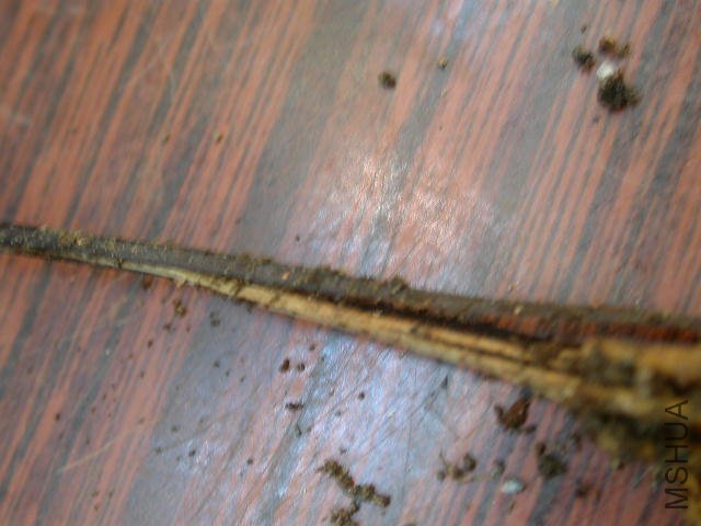 �˶�����