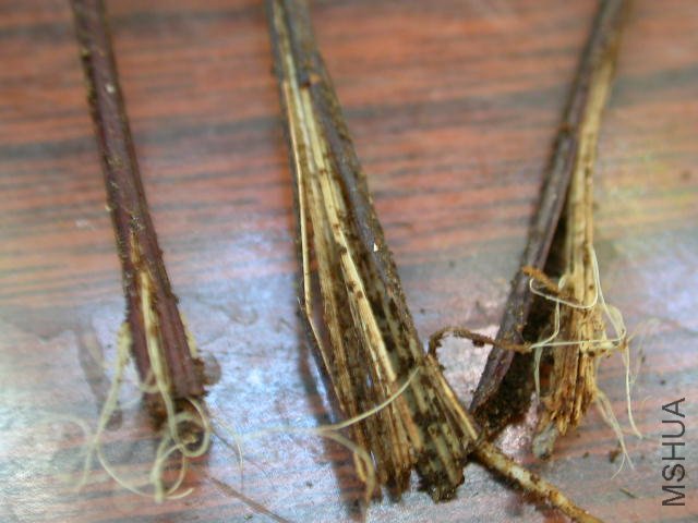 �����ˣ�ʵ����û�þ���