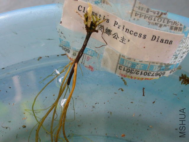 ���˲�����