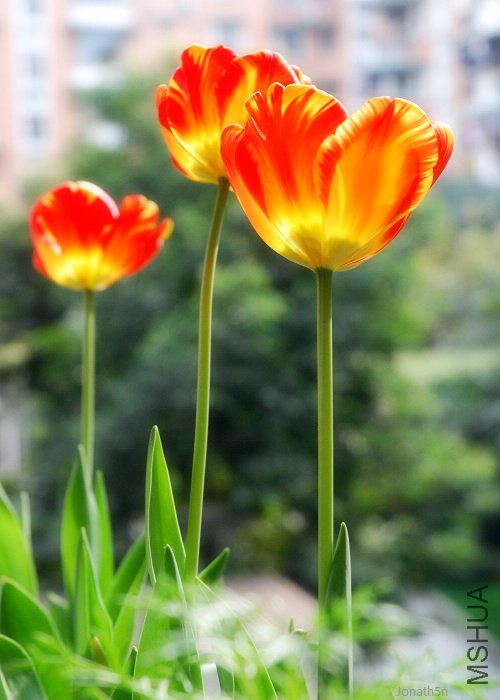 DSC_0410.jpg