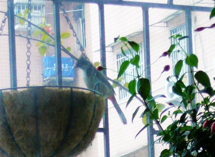 ���Ҫ��ռ�ҵĻ���