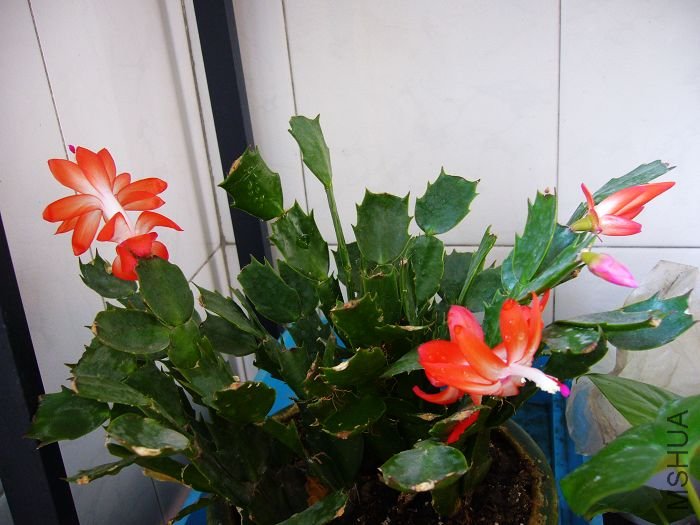 з���ĵڶ���