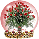 20080219213333293.gif