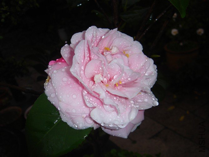 http_imgload12341234.jpg