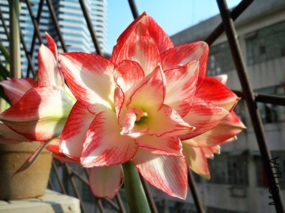 ��Ƭ 2584(576)�����ȸ.jpg