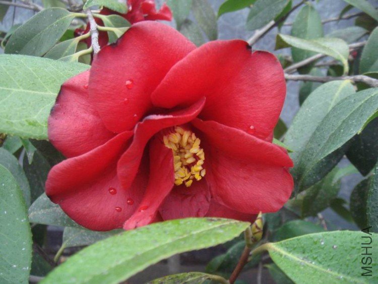 �ʼ������