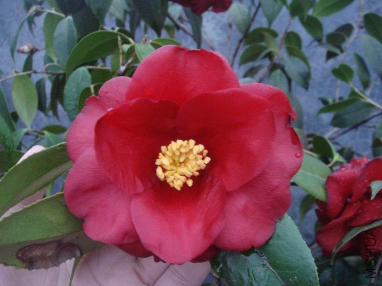 �ʼ������