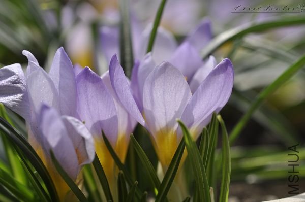 ��Ƭ090308 065.jpg