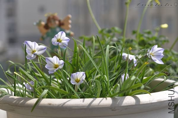 ��Ƭ090308 058.jpg