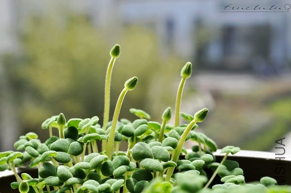 ��Ƭ090308 080.jpg