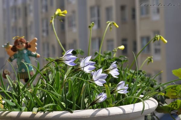 ��Ƭ090308 087.jpg