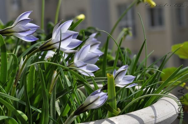 ��Ƭ090308 086.jpg