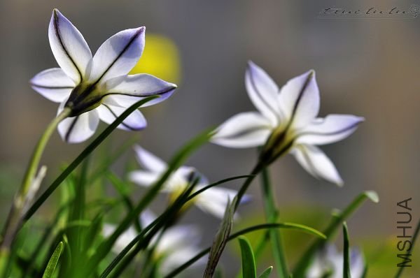 ��Ƭ090308 119.jpg