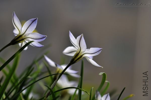 ��Ƭ090308 170.jpg