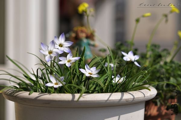 ��Ƭ090308 124.jpg