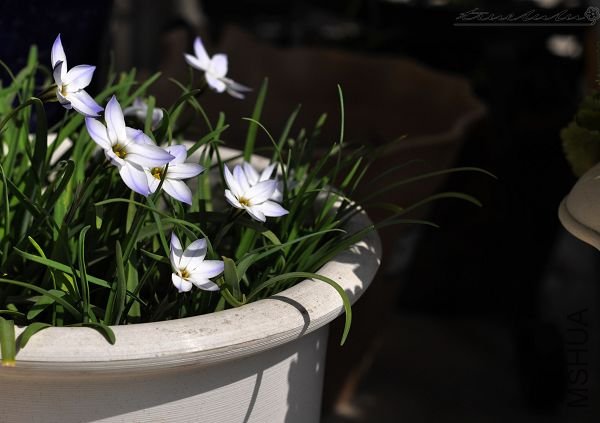 ��Ƭ090308 141.jpg