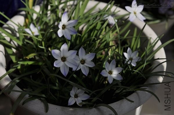 ��Ƭ090308 146.jpg