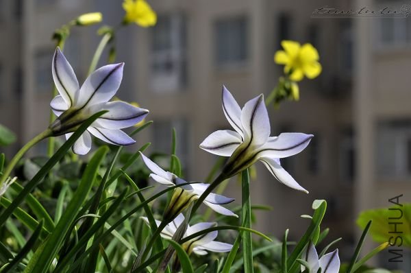 ��Ƭ090308 112.jpg