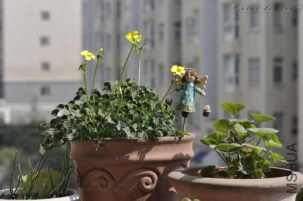 ��Ƭ090308 136.jpg