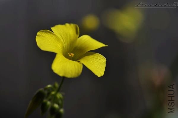 ��Ƭ090308 130.jpg