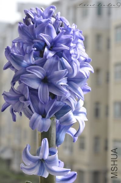 ��Ƭ090308 094.jpg