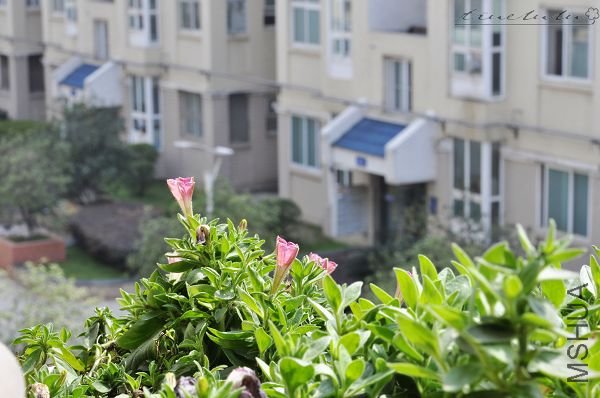 ��Ƭ090308 103.jpg