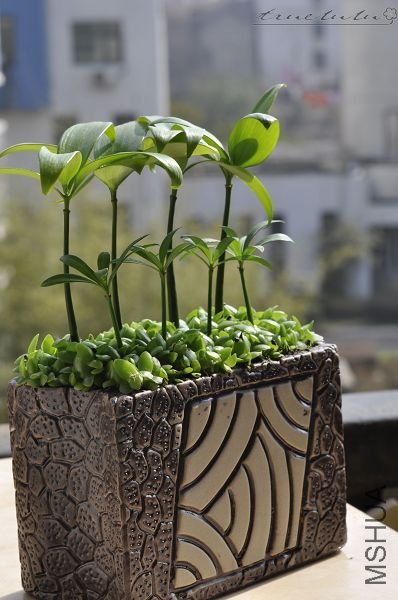 ��Ƭ090308 195.jpg