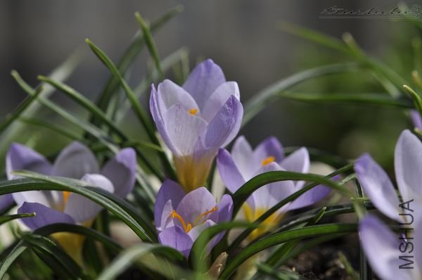 ��Ƭ090308 137.jpg