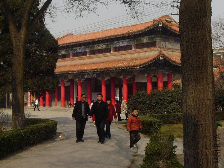 DSC07216-1.jpg
