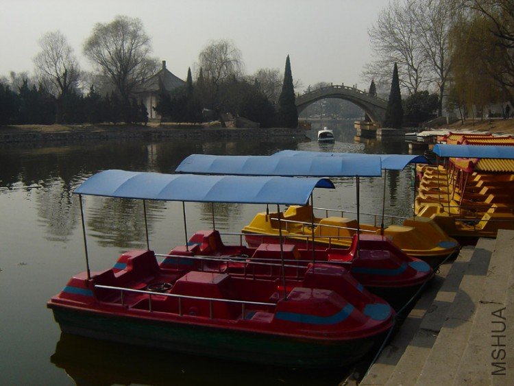 DSC07214-.jpg