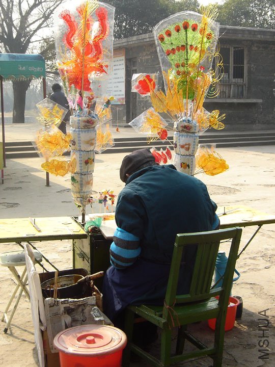 DSC07206-.jpg