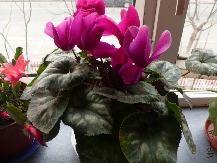 ������С ��Ƭ 085.jpg