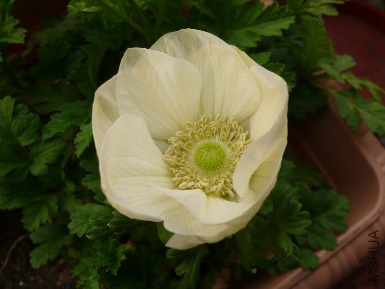 ������С ��Ƭ 080.jpg